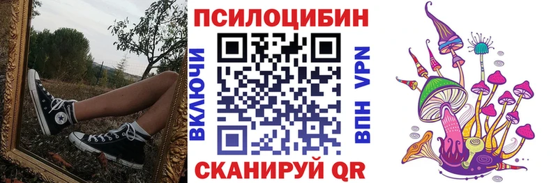 Галлюциногенные грибы MAGIC MUSHROOMS  где можно купить наркотик  Тамбов 